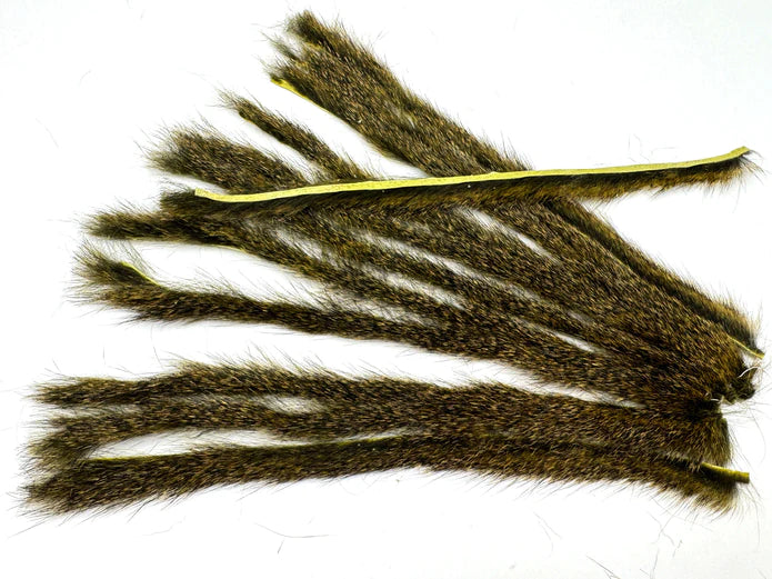 Moonlit Pine Squirrel Strips