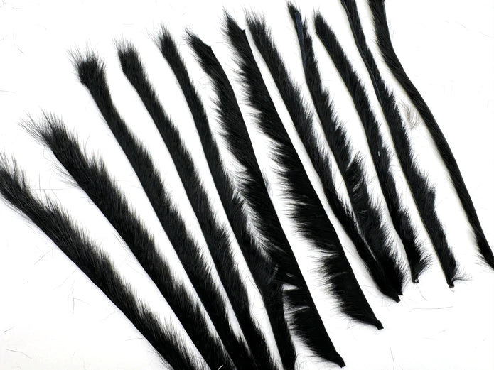 Moonlit Pine Squirrel Strips