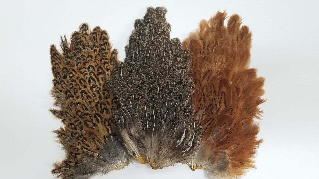 Whole Hen Saddle