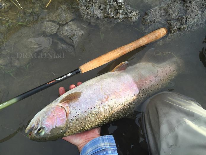HELLbender Tenkara Rod (BIG FISH Tenkara ROD)
