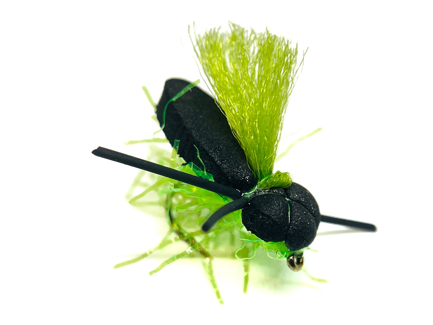 Straggle Beetle