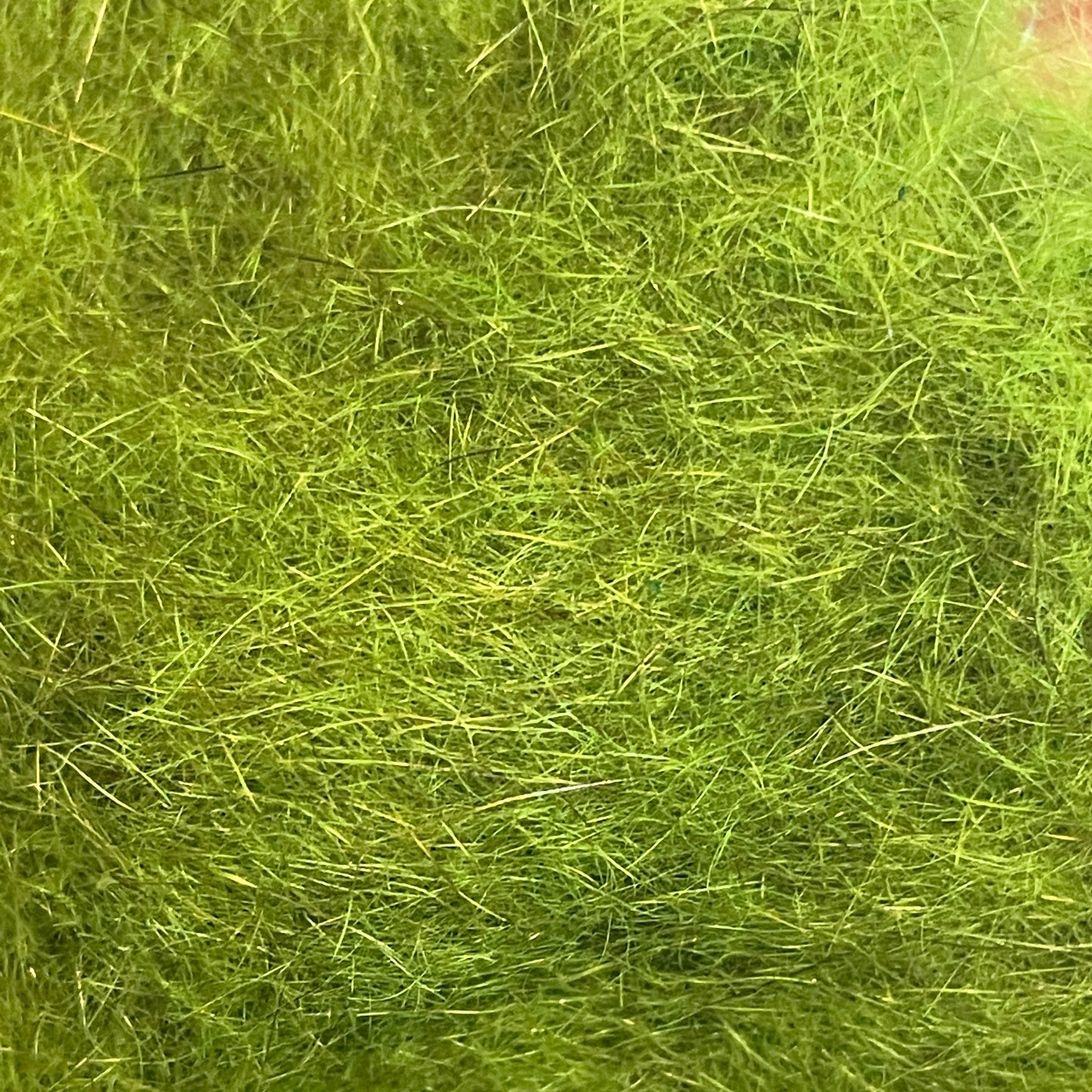 UV Tracer Squirrel Dub