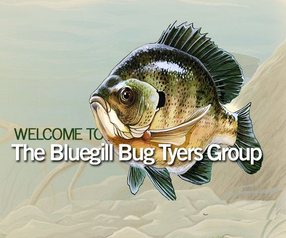 The Bluegill Bug Tyers Group - Very Exciting News!